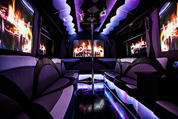 30 passenger Gilbert party bus rental